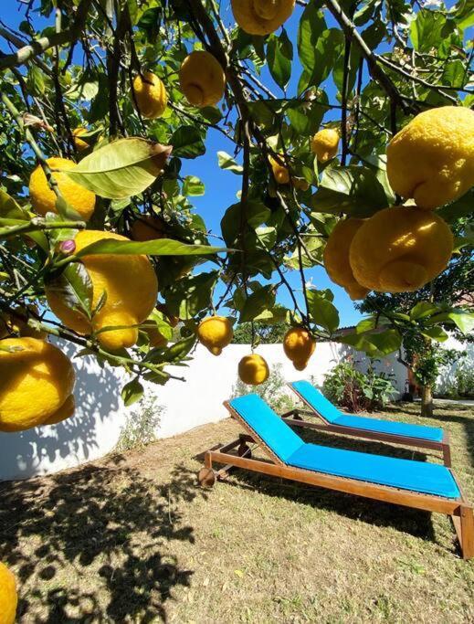 Terra Da Lagoa - Villa Near The Beach & Lagoon Nadadouro Ngoại thất bức ảnh