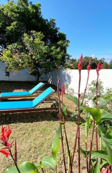 Terra Da Lagoa - Villa Near The Beach & Lagoon Nadadouro Ngoại thất bức ảnh